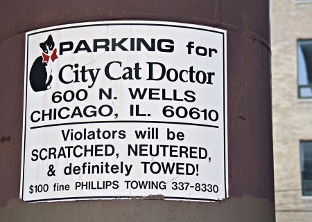 2008_4_neuter.jpg