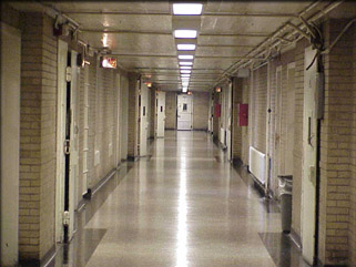2008_5_cook_county_jail.jpg