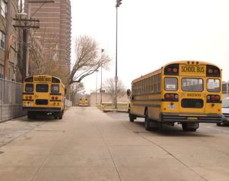 2008_5_school_buses.jpg