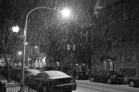 2008_7_Big_Flakes.jpg