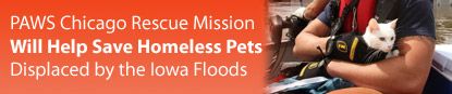 2008_7_iowafloods.jpg