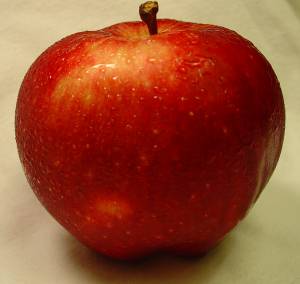 2007_9_Apple.jpg