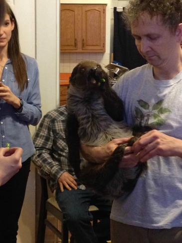 2015_4_1BestOfSteveSloth.jpg