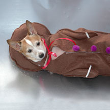 2007_11_gingerbread_dog.jpg