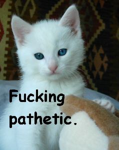 2009_02_pathetic.jpg