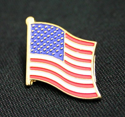 100507_Flagpin.jpg