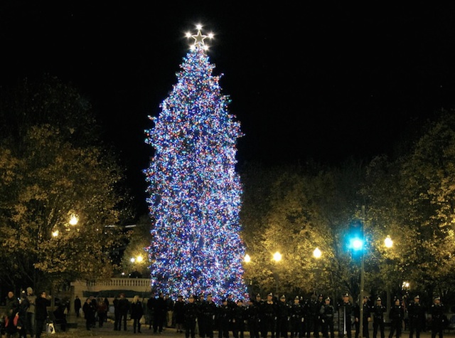ChicagoXmasTree.jpg