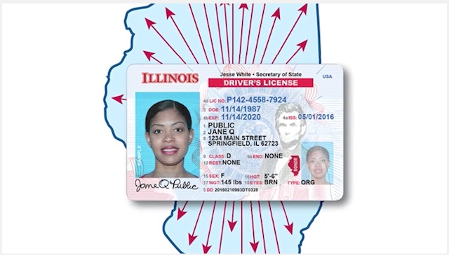NewDriversLicense.jpg