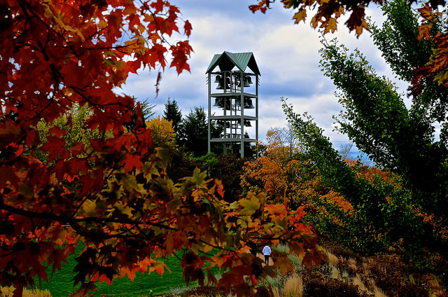 2016_09_07ChicagoistBotanicCarillon.jpg