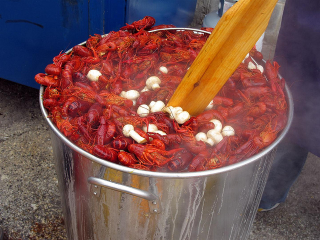 2014_04_crawfish2.jpg