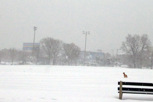 2015_02_snow2.png