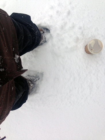 2015_02_snow3.png