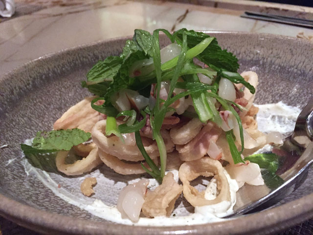 2015_06_embeya_squid.jpg