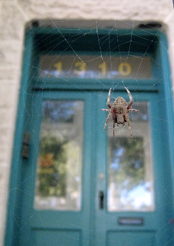 2007_09_spiders.jpg