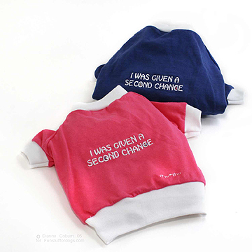 2007_9secondchance.jpg