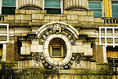 lion of the disenfranchised, disenfranchised