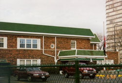 no relation to peter griffin