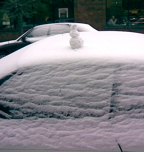 2007_12_steve_the_snowman.gif