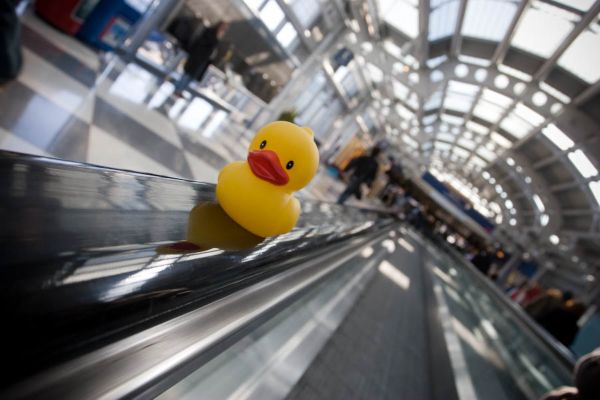 2008_04_ducky_ohare.jpg