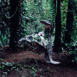 CSS releases their new album Donkey