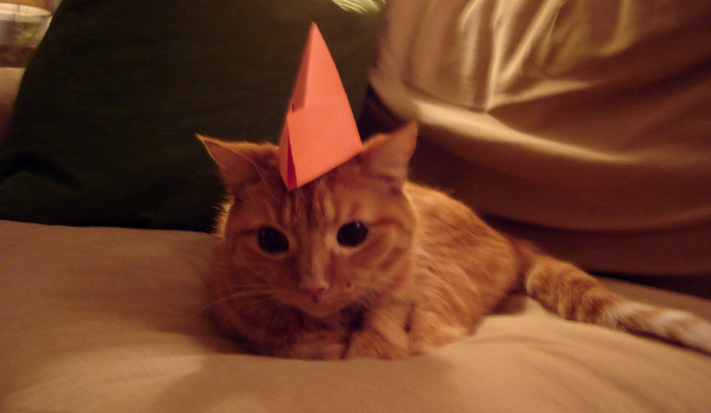 2009_12_nye_kitty.jpg