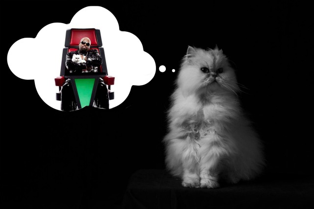2012_05_ceelo_purrfect.jpg