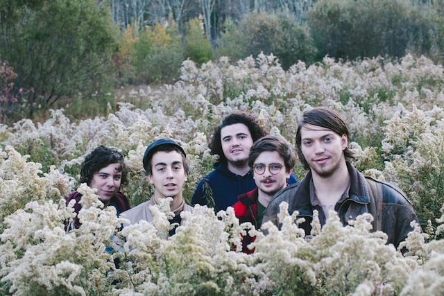 2017_09_twin_peaks_band.jpg