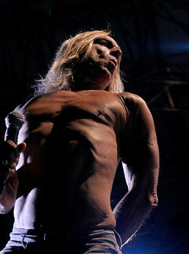 iggy_pop_jpg.jpg