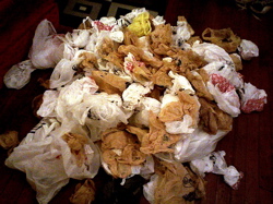 2008_05_askplastic.jpg