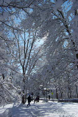 12-07-07_Weather.jpg