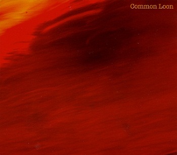 2010_04_CommonLoon.jpg
