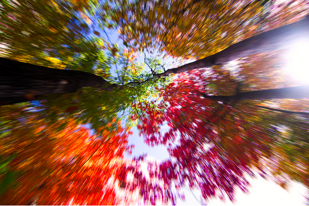 Fall_9_072_2013.png