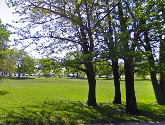 trees-lake-shore-drive.jpg