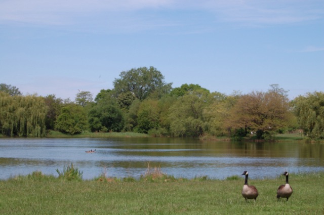 washington-park.jpg