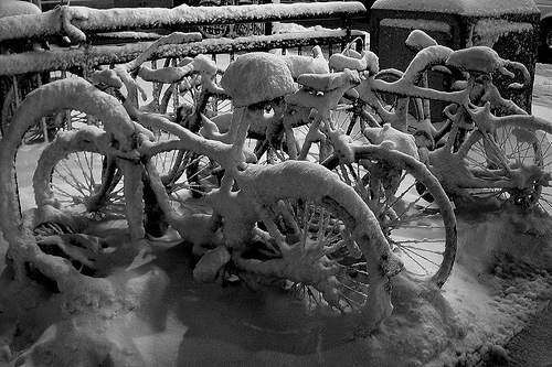 2009_12_02_frozenbikes.jpg