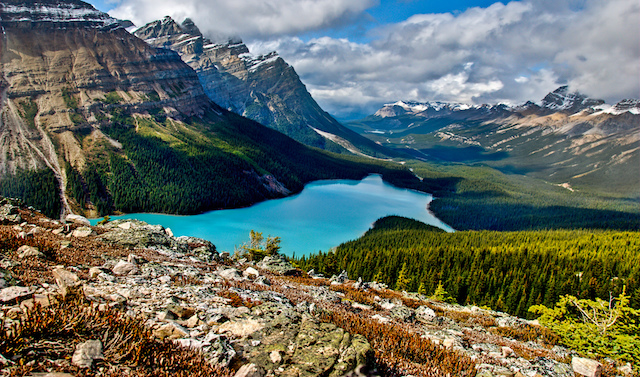 2518983397873316109_peyto_lake_credit_gary_ullah_on_flickr.jpg