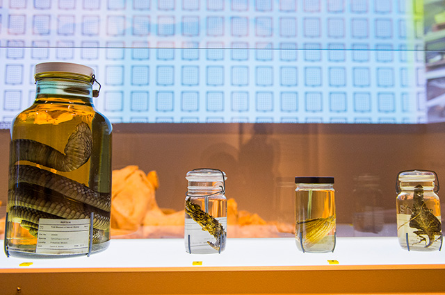 Specimens-18interior.jpg