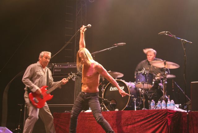 2012_09_iggy2.jpg